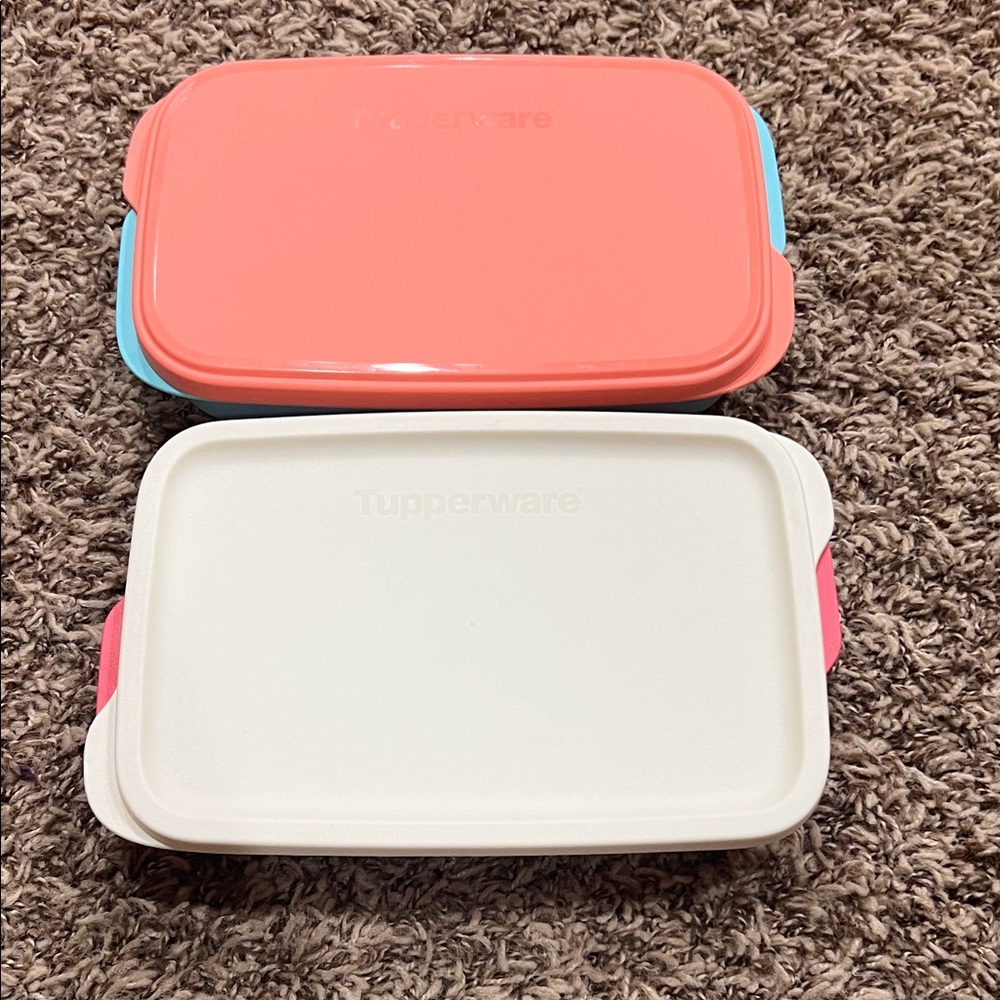 Tupperware interchangeable divided containers